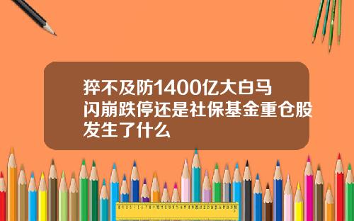 猝不及防1400亿大白马闪崩跌停还是社保基金重仓股发生了什么