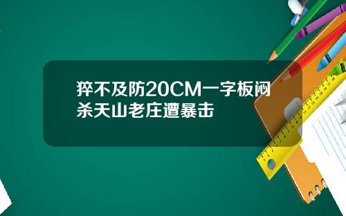 猝不及防20CM一字板闷杀天山老庄遭暴击
