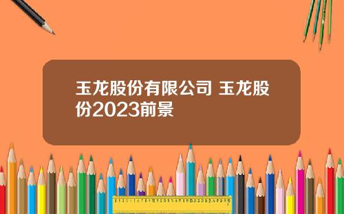 玉龙股份有限公司 玉龙股份2023前景