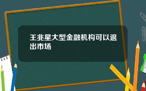 王兆星大型金融机构可以退出市场