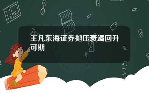 王凡东海证券抛压衰竭回升可期