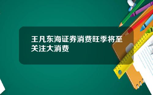 王凡东海证券消费旺季将至关注大消费