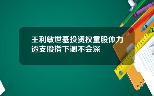 王利敏世基投资权重股体力透支股指下调不会深