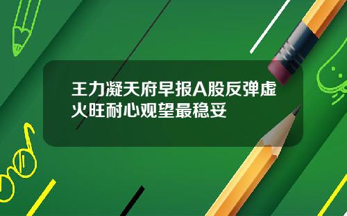 王力凝天府早报A股反弹虚火旺耐心观望最稳妥