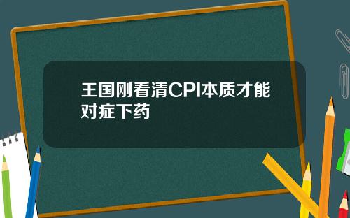 王国刚看清CPI本质才能对症下药