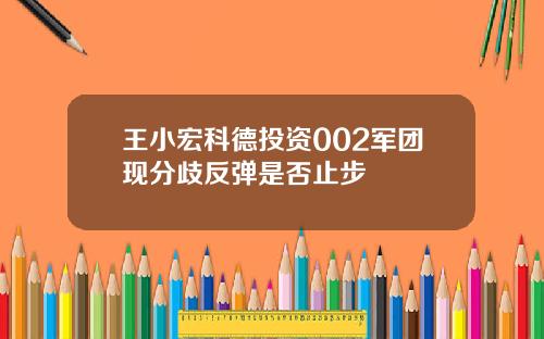 王小宏科德投资002军团现分歧反弹是否止步