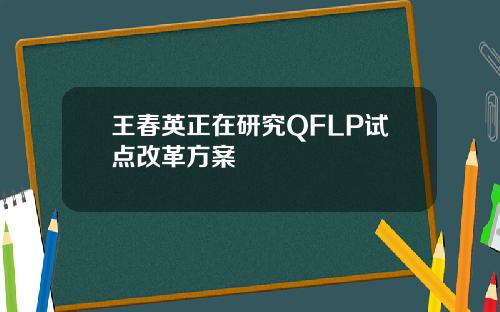 王春英正在研究QFLP试点改革方案