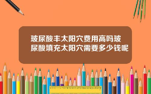 玻尿酸丰太阳穴费用高吗玻尿酸填充太阳穴需要多少钱呢