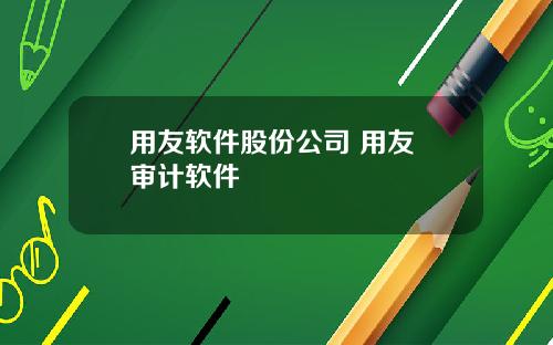 用友软件股份公司 用友 审计软件