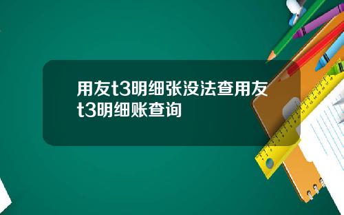 用友t3明细张没法查用友t3明细账查询