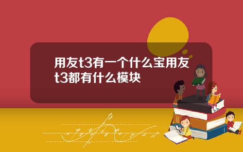 用友t3有一个什么宝用友t3都有什么模块