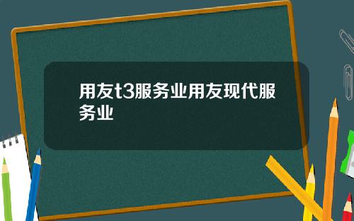 用友t3服务业用友现代服务业