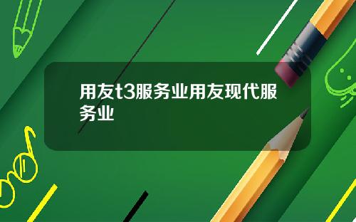 用友t3服务业用友现代服务业