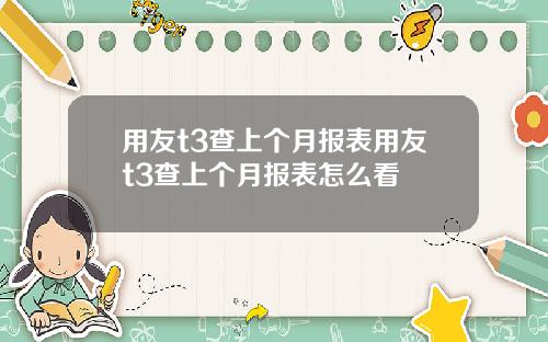 用友t3查上个月报表用友t3查上个月报表怎么看
