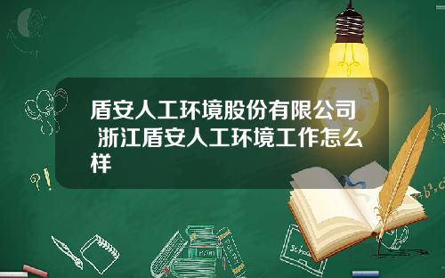 盾安人工环境股份有限公司 浙江盾安人工环境工作怎么样