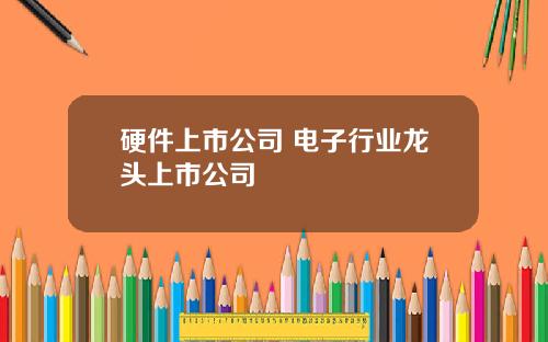 硬件上市公司 电子行业龙头上市公司