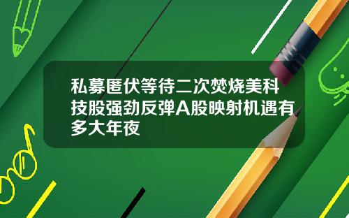 私募匿伏等待二次焚烧美科技股强劲反弹A股映射机遇有多大年夜