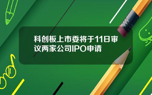 科创板上市委将于11日审议两家公司IPO申请