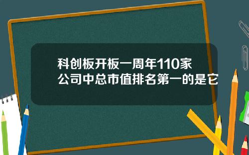 科创板开板一周年110家公司中总市值排名第一的是它