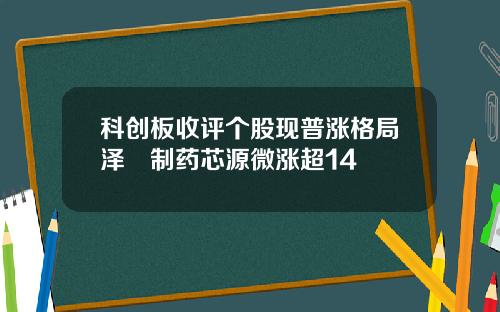 科创板收评个股现普涨格局泽璟制药芯源微涨超14