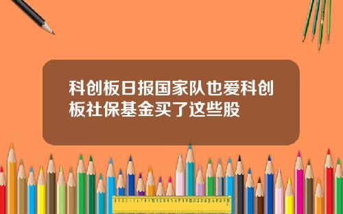 科创板日报国家队也爱科创板社保基金买了这些股
