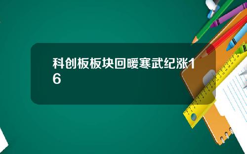 科创板板块回暖寒武纪涨16