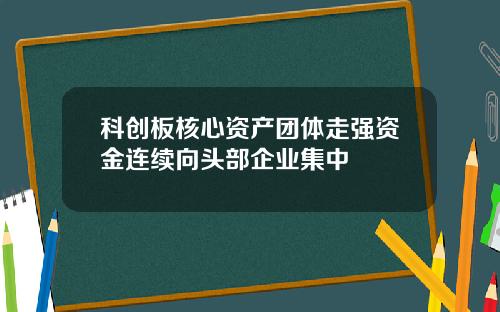 科创板核心资产团体走强资金连续向头部企业集中