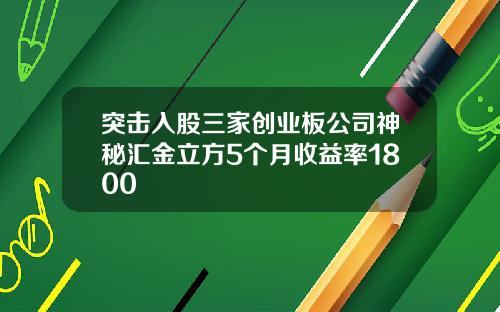 突击入股三家创业板公司神秘汇金立方5个月收益率1800