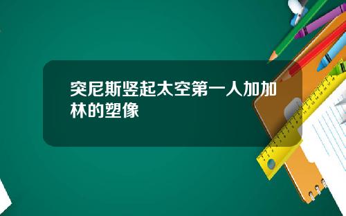 突尼斯竖起太空第一人加加林的塑像