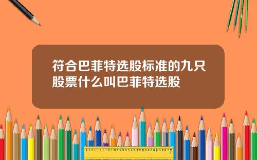 符合巴菲特选股标准的九只股票什么叫巴菲特选股
