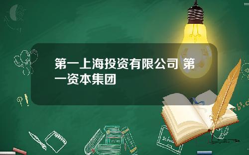 第一上海投资有限公司 第一资本集团