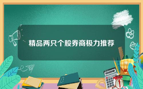 精品两只个股券商极力推荐