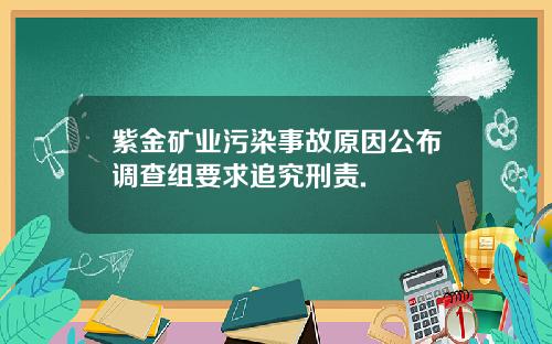 紫金矿业污染事故原因公布调查组要求追究刑责.