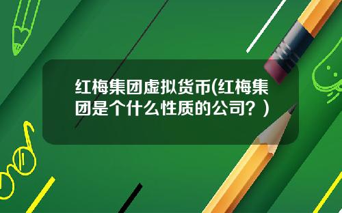 红梅集团虚拟货币(红梅集团是个什么性质的公司?)