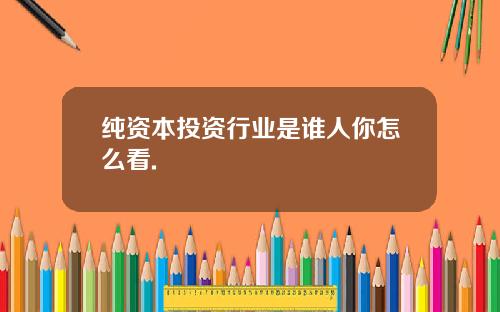 纯资本投资行业是谁人你怎么看.