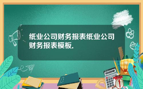 纸业公司财务报表纸业公司财务报表模板.
