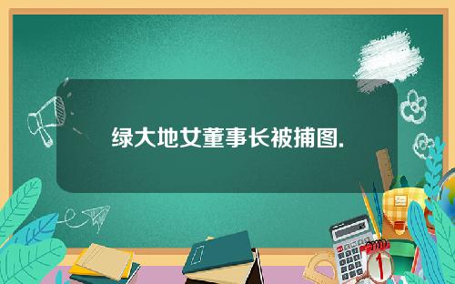 绿大地女董事长被捕图.
