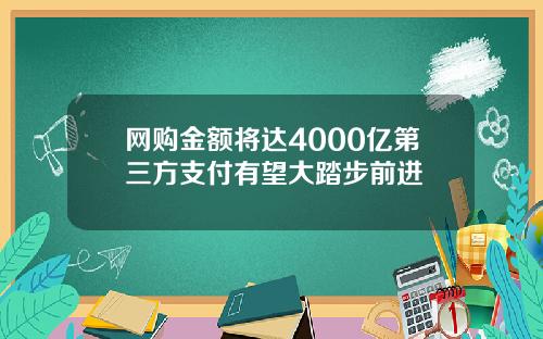 网购金额将达4000亿第三方支付有望大踏步前进