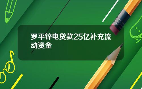 罗平锌电贷款25亿补充流动资金