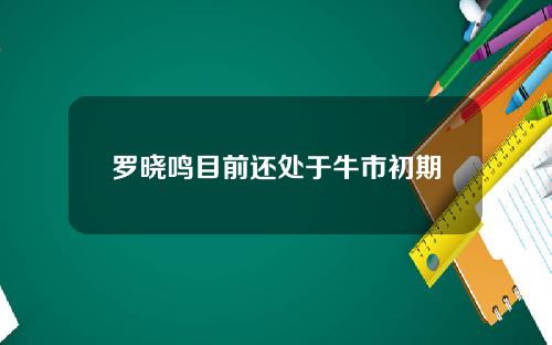 罗晓鸣目前还处于牛市初期