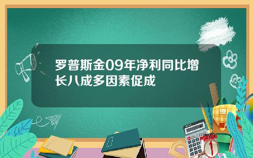 罗普斯金09年净利同比增长八成多因素促成