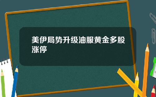 美伊局势升级油服黄金多股涨停