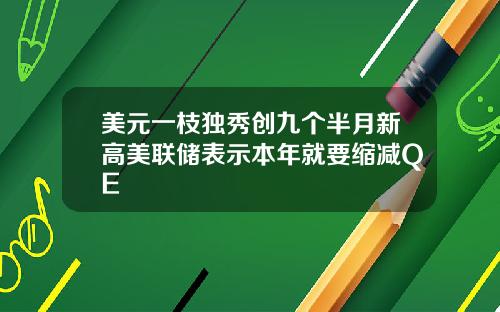 美元一枝独秀创九个半月新高美联储表示本年就要缩减QE