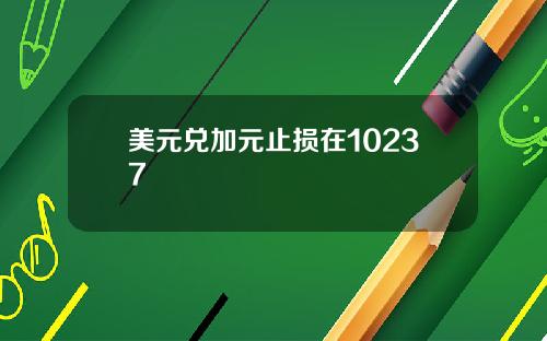 美元兑加元止损在10237