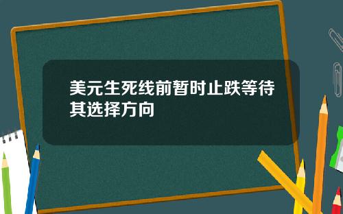 美元生死线前暂时止跌等待其选择方向