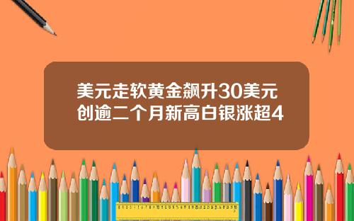 美元走软黄金飙升30美元创逾二个月新高白银涨超4