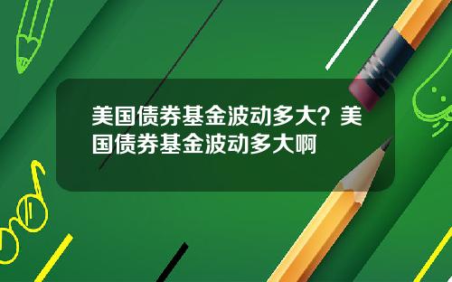 美国债券基金波动多大?美国债券基金波动多大啊