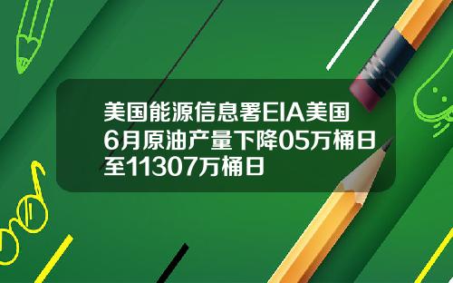 美国能源信息署EIA美国6月原油产量下降05万桶日至11307万桶日