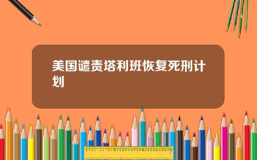 美国谴责塔利班恢复死刑计划
