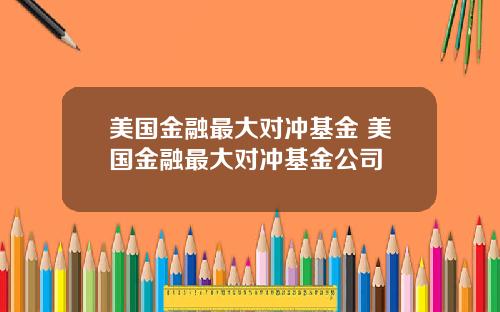 美国金融最大对冲基金 美国金融最大对冲基金公司